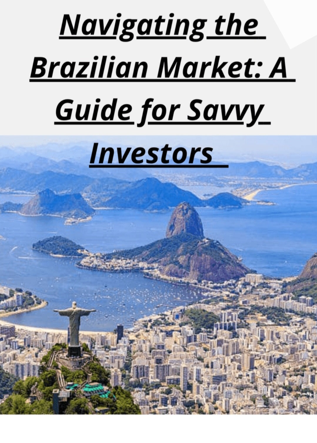 NAVIGATING THE BRAZILIAN MARKET: A guide for savvy investors